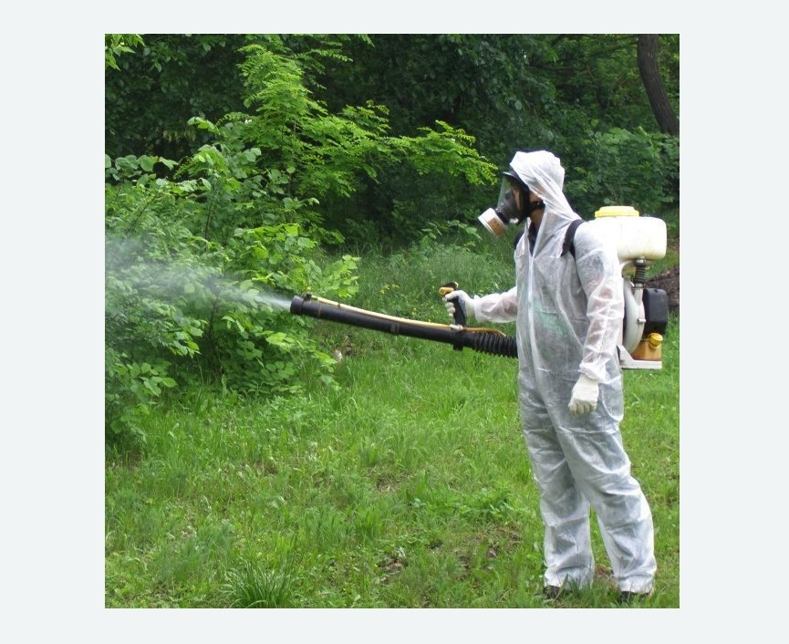 обработка территории от клещей в Астрахани