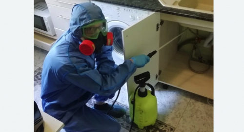 Уничтожение муравьев в квартире. Астрахань