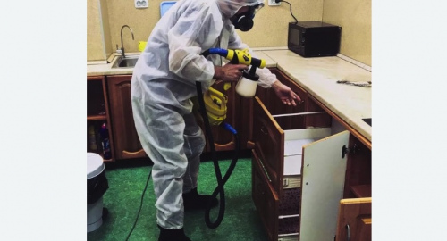 Уничтожение насекомых в квартире. Астрахань
