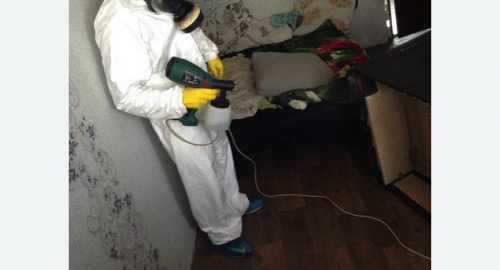 Обработка квартир от насекомых в Астрахани