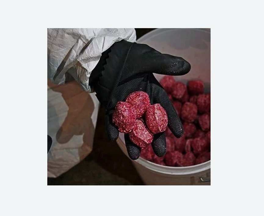 Обработка от крыс в Астрахани