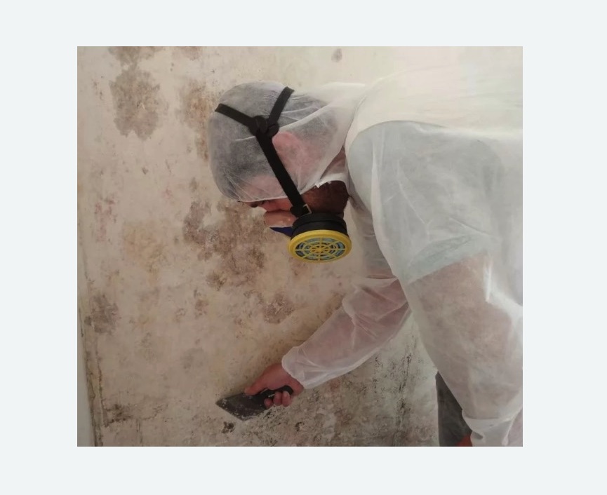 Обработка стен от плесени Обработка стен от плесени в Астрахани