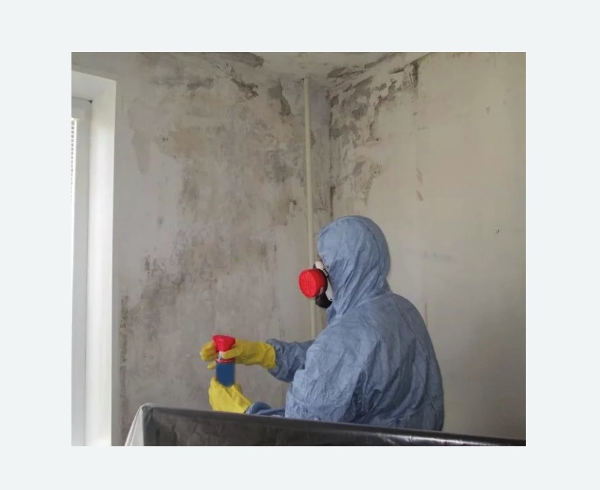 Удаление плесени в квартире Удаление плесени в квартире в Астрахани