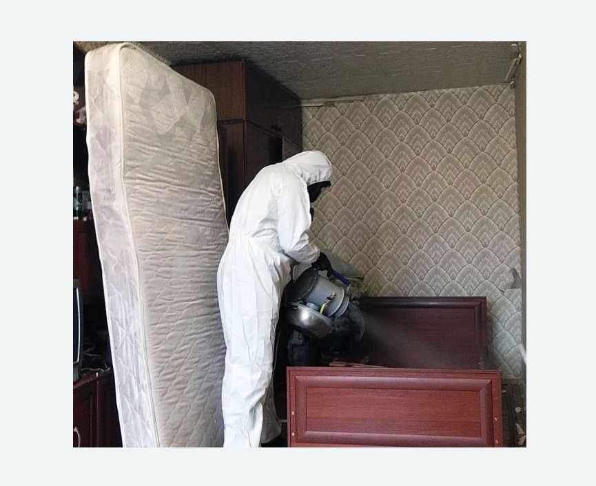 дезинфекция от клопов в Астрахани