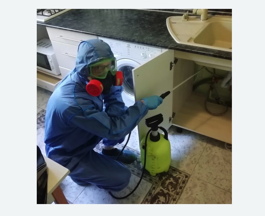 обработка от муравьев в квартире в Астрахани