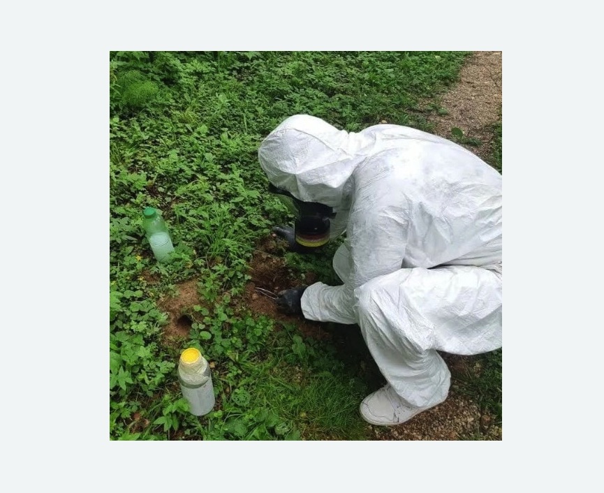 уничтожение кротов на участке в Астрахани